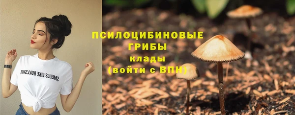 прущая мука Абаза