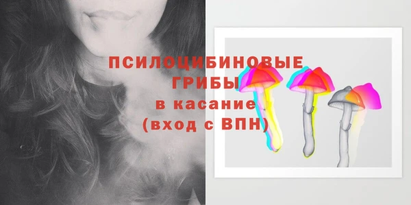 мдпв Абинск