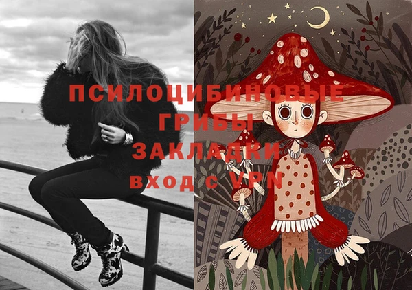ПСИЛОЦИБИНОВЫЕ ГРИБЫ Абдулино