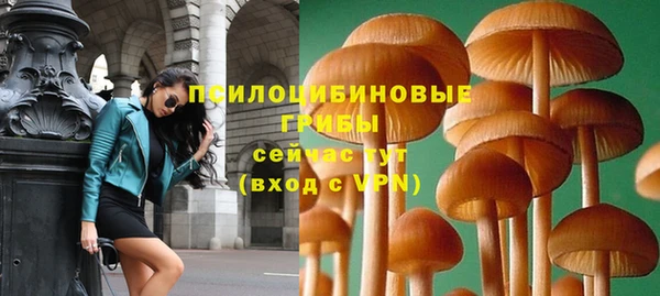 прущая мука Абаза