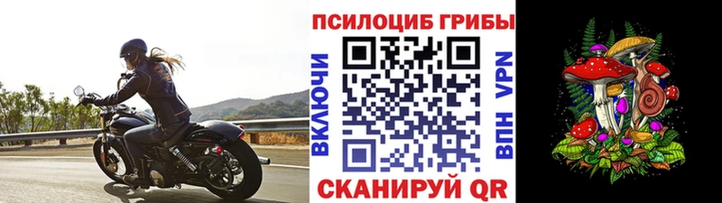 Галлюциногенные грибы ЛСД  цены   Каргополь 