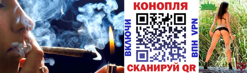 Бошки марихуана план Каргополь